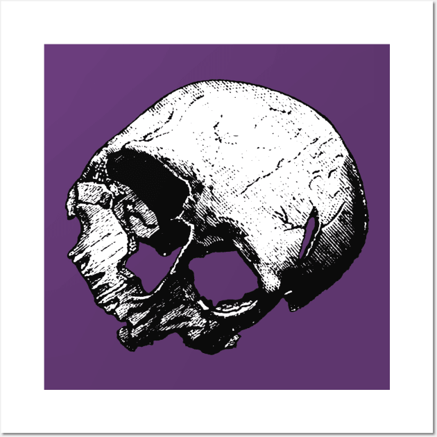 Broken Human Cranium Vintage Illustration Vectorized Wall Art by taiche